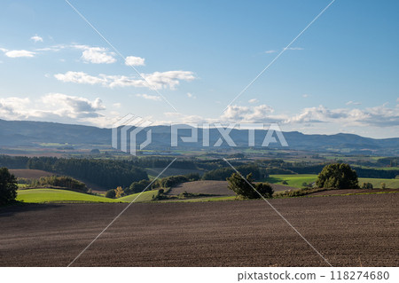 Autumn Hillside Upland Field 118274680