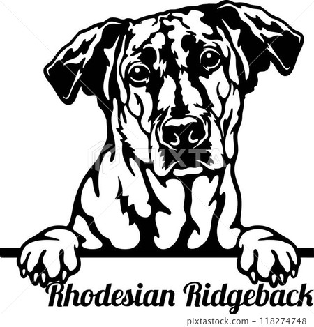 Peeking Rhodesian Ridgeback Dog - Dog lover owner gift - Dog cut file - Peeking Dog Cut Stencil 118274748