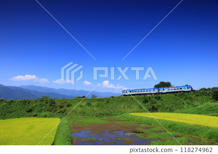秋季行駛於八岳高原的觀光列車 秋季行駛於八岳高原的觀光列車 118274962