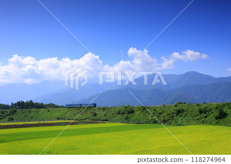 A tourist train traveling through the Yatsugatake Plateau in autumn 118274964