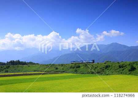 A tourist train traveling through the Yatsugatake Plateau in autumn 118274966