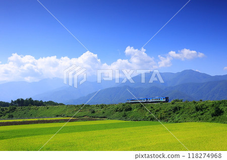 秋季行駛於八岳高原的觀光列車 118274968