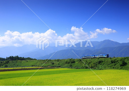 A tourist train traveling through the Yatsugatake Plateau in autumn 118274969