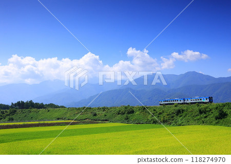 A tourist train traveling through the Yatsugatake Plateau in autumn 118274970