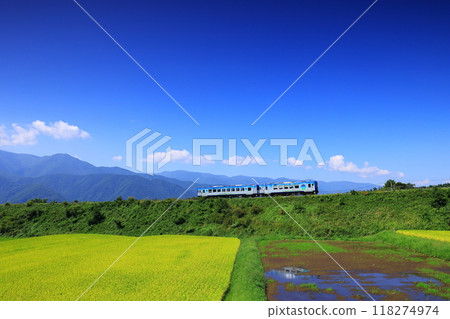 秋季行駛於八岳高原的觀光列車 118274974