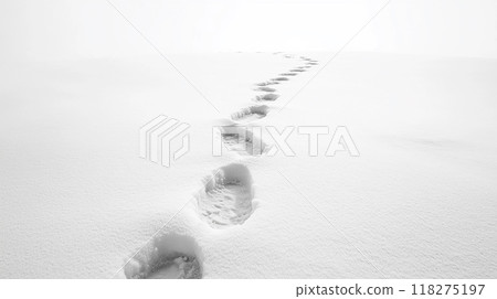 Footprints following in the snow 118275197