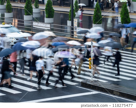 雨天，人們撐著雨傘過行人穿越道 118275477