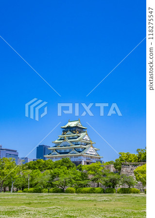Osaka Castle Fresh Green Osaka Castle Fresh Green 118275547