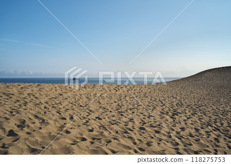 Summer in Tottori Prefecture: Whale Island in the Sea of Japan seen from the Tottori Sand Dunes 118275753