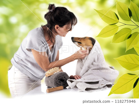 Shetland Sheepdog and woman in studio Shetland Sheepdog and woman in studio 118275946