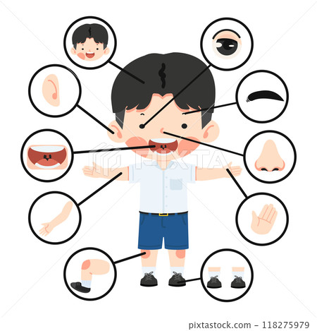 Kid boy with different parts of the body for teaching 118275979