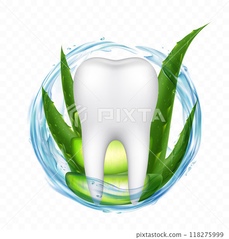 White healthy tooth next to aloe vera leaves 118275999