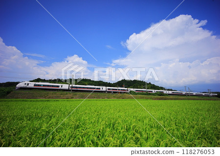 日立特快列車穿過夏日的天空和綠色的稻田 118276053