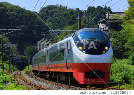 Scarlet Blossom color E657 series 118276054