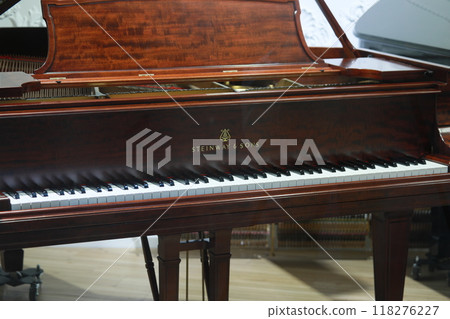 鋼琴 118276227
