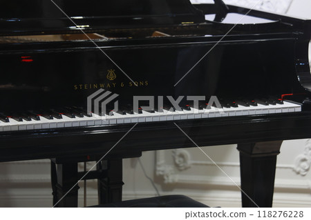 piano piano 118276228