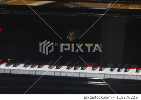 鋼琴 118276229