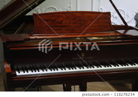 piano piano 118276234