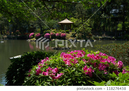Hiroshima City, Hiroshima Prefecture: Walking through a spring garden filled with blooming azaleas 118276438