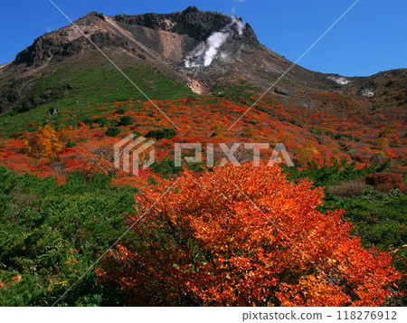 Mt. Nasu-Chausu, an active volcano, turns red with autumn leaves Mt. Nasu-Chausu, an active volcano, turns red with autumn leaves 118276912