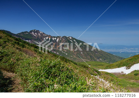 十勝嶽山脈，富良野山，上幌岡梅德山，自然，殘雪，六月，風景，新綠，初夏，陽光明媚，登山，北海道，大 118277016