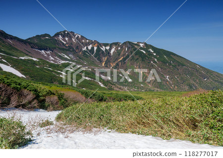 十勝嶽山脈，富良野山，上幌岡梅德山，自然，殘雪，六月，風景，新綠，初夏，陽光明媚，登山，北海道，大 118277017