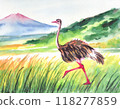 鴕鳥畫水彩 118277859