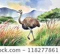 鴕鳥畫水彩 118277861