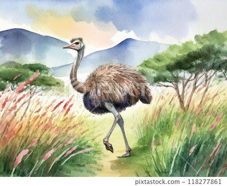 鴕鳥畫水彩 鴕鳥畫水彩 118277861