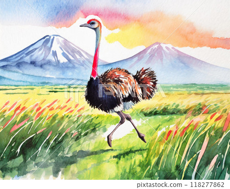 鴕鳥畫水彩 118277862