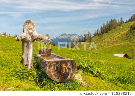 landscape with wooden drinking trough, pastures and mountains, view of Mount Schafberg, Postalm plateau, Austria 118278213