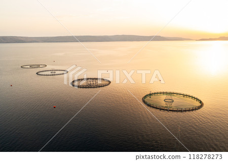 Fish breeding cages in Croatian sea farm against sunset. Round net cages highlight Croatia advanced aquaculture techniques in open sea 118278273