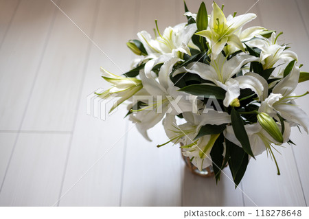 白色地板上華麗的百合花 118278648