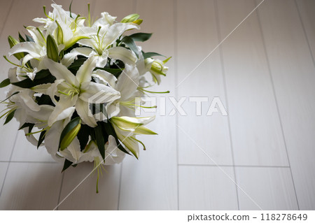 白色地板上華麗的百合花 118278649