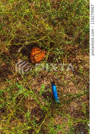 disposable electronic cigarette on the ground in the grass 118279067