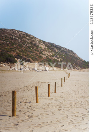 Wooden posts in a row on a sandy beach Wooden posts in a row on a sandy beach 118279328