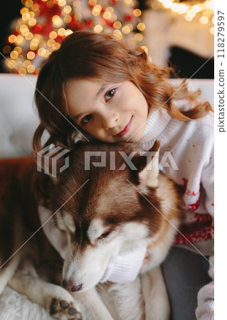 Close up of cute girl hugging husky dog on christmas background Close up of cute girl hugging husky dog on christmas background 118279597