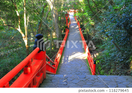 [Oita Prefecture] Shimogu of Usa Shrine in sunny weather 118279645