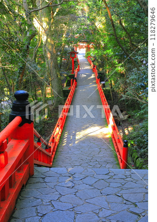 [Oita Prefecture] Shimogu of Usa Shrine in sunny weather 118279646
