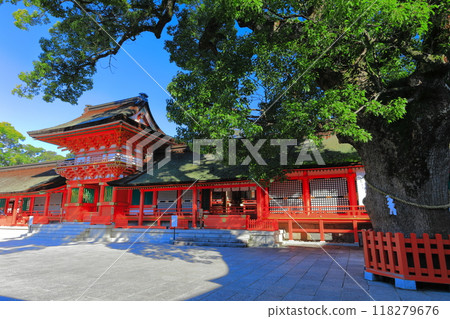 [Oita Prefecture] Upper Shrine of Usa Jingu Shrine on a clear day 118279676