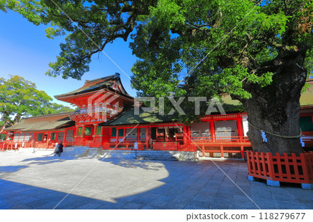 [Oita Prefecture] Upper Shrine of Usa Jingu Shrine on a clear day 118279677