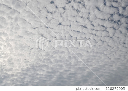 Cirrocumulus clouds appearing in the autumn sky, also known as scale clouds or mackerel clouds 118279905