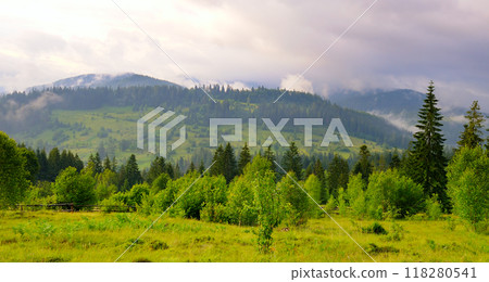 Misty Carpathian mountain valley after the rain. Misty Carpathian mountain valley after the rain. 118280541