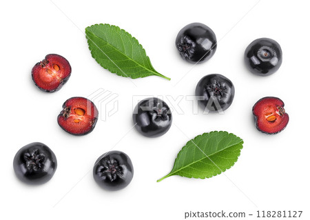 Chokeberry with leaf isolated on white background. Black aronia. Top view. Flat lay 118281127