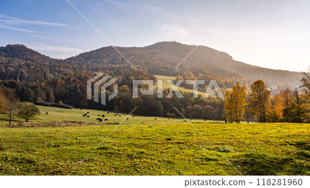 A serene autumn landscape unfolds at Sedlo Mountain, showcasing vibrant foliage, rolling hills, and grazing cattle under a bright, sunny sky. Nature's beauty is on full display. 118281960