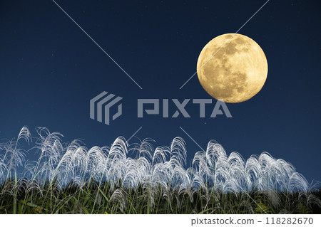 Beautiful landscape photo of a full moon and silver grass in the autumn night sky 118282670