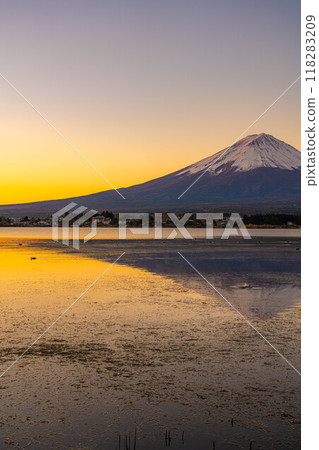 [富士山資料]冬天的早晨從河口湖看到的富士山[山梨縣] 118283209