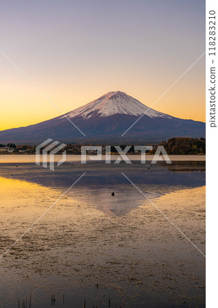 [富士山資料]冬天的早晨從河口湖看到的富士山[山梨縣] 118283210