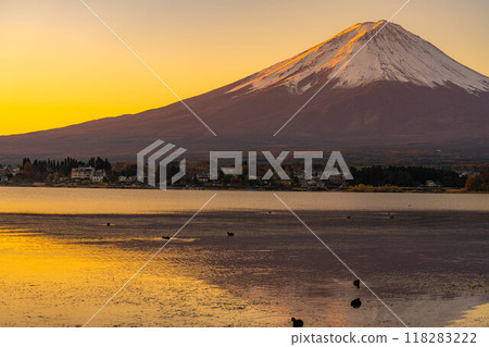 [富士山資料]冬天的早晨從河口湖看到的富士山[山梨縣] 118283222