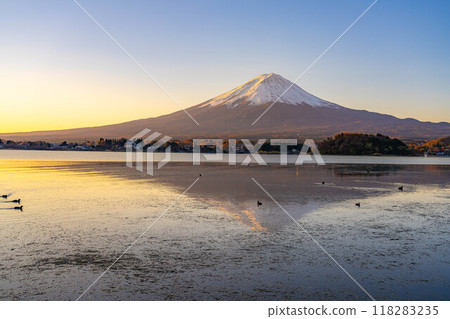 [Mt. Fuji material] Mt. Fuji seen from Lake Kawaguchi on a winter morning [Yamanashi Prefecture] 118283235
